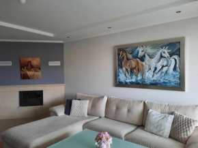 Apartman Medo